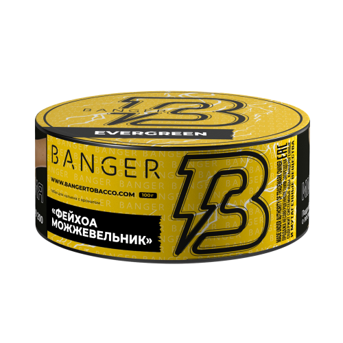 Табак для кальяна Banger Evergreen (Фейхоа, можжевельник) 100г