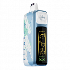 Elfbar Booster 30000 Черника Роза Мята Elfbar Booster 30000 Черника Роза Мята