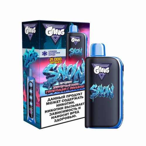 GANG Snow 21000 Замороженная смородина с малиной