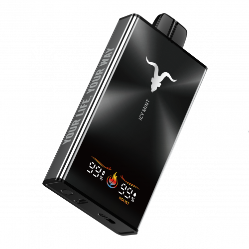 IGNITE V350 35000 Icy Mint (Ледяная Мята)