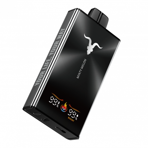 IGNITE V350 35000 Minty Melon (Мятная Дыня) IGNITE V350 35000 Minty Melon (Мятная Дыня)