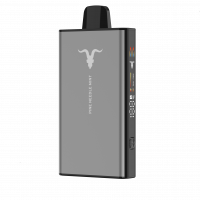 IGNITE V STRONG 40000 Pine Needle Mint (Хвоя Мята)